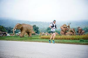 BIB: 
                            <button type="button" onclick="openModal(22401628)" class="btn btn-primary btn-sm float-right btn-popup" data-toggle="modal" data-target=".modal-high-quality">
                        <i class="fas fa-shopping-cart"></i> Add to Cart
                    </button>
                                            <button type="button" onclick="isThisMe(22401628, true)" class="btn btn-success btn-sm float-right btn-popup btn-isme hidden" data-toggle="tooltip" data-placement="bottom" title="นี่คือรูปของคุณใช่ไหม คลิกที่นี่เพื่อเอาเข้าอัลบั้ม">
                        <i class="fas fa-plus"></i> Add to album
                    </button>
                    <button type="button" onclick="isThisMe(22401628, false)" class="btn btn-warning btn-sm float-right btn-popup btn-isnotme hidden">
                        <i class="fas fa-ban"></i> Remove from album
                    </button>